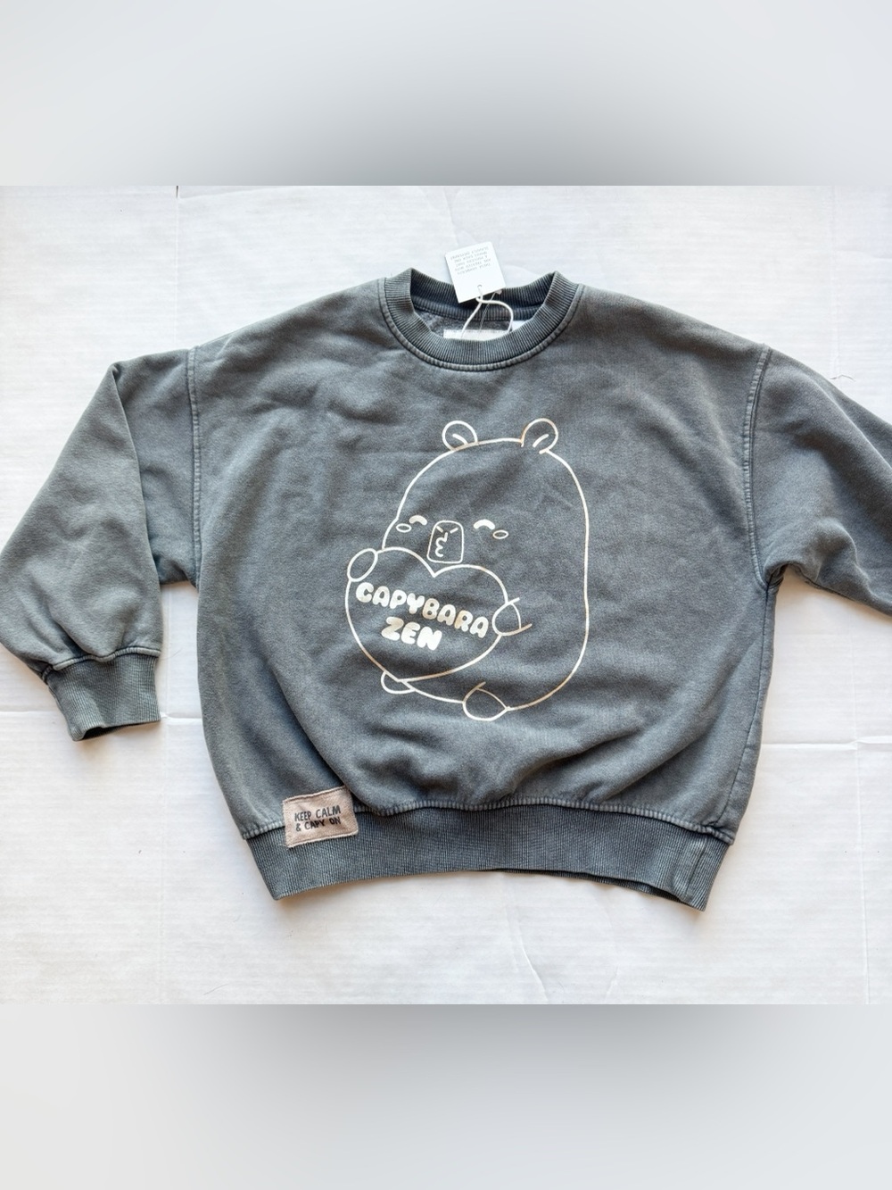 Zara Kids New Capybara Sweatshirt in Charcoal Grey Size 8-9Y NWOT